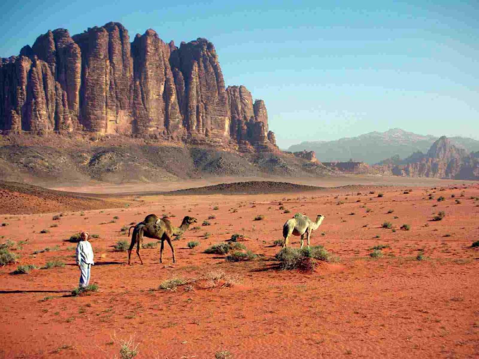 Wadi Rum Caeser Camp 호텔 외부 사진