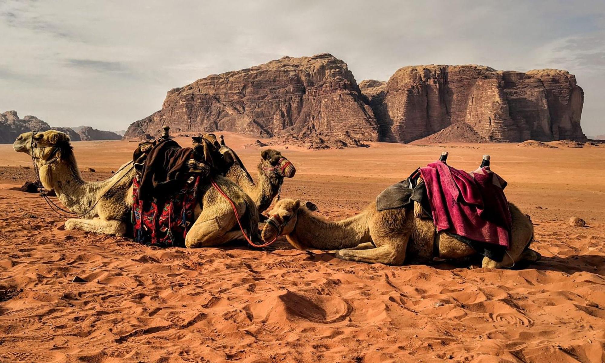 Wadi Rum Caeser Camp 호텔 외부 사진