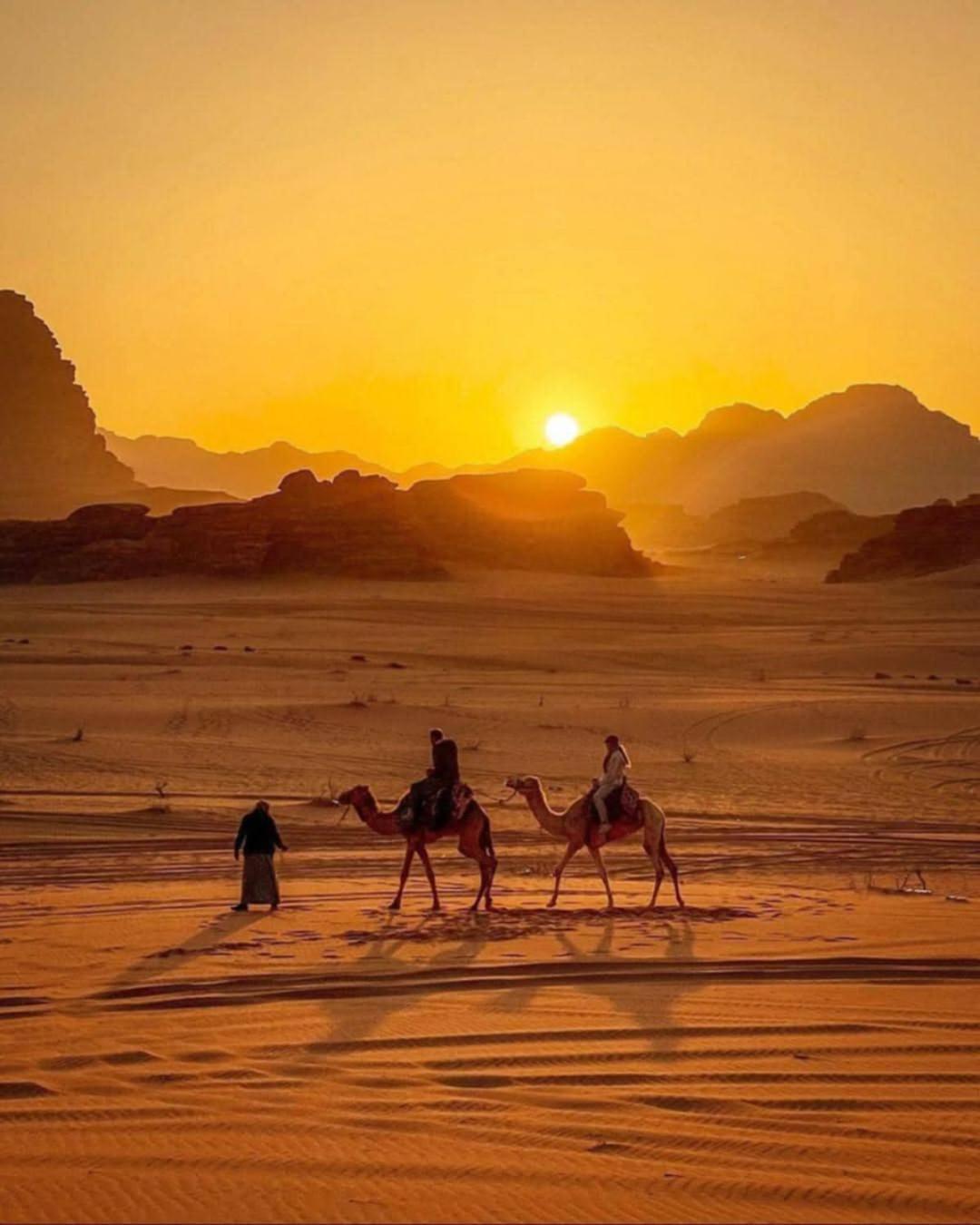 Wadi Rum Caeser Camp 호텔 외부 사진