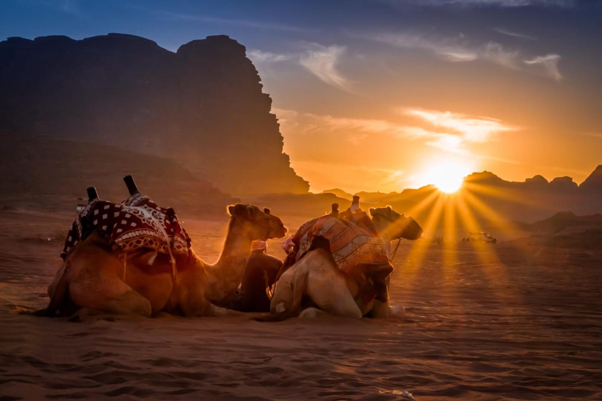 Wadi Rum Caeser Camp 호텔 외부 사진